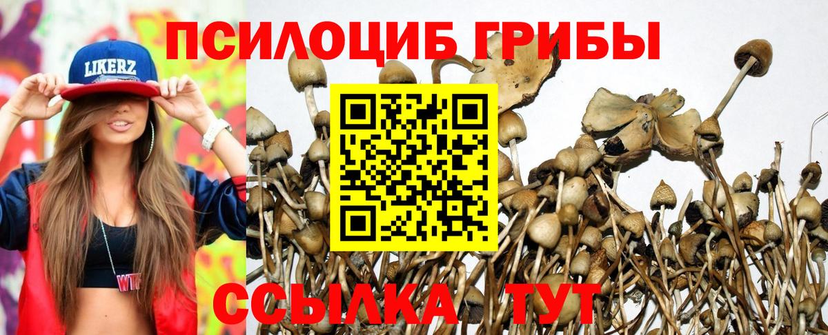 Кстово  Галлюциногенные грибы MAGIC MUSHROOMS  Вход с VPN 